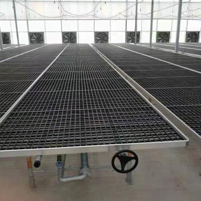 China 1.735m Greenhouse Rolling Tables PE Material Rolling Top Greenhouse Benches For Rose Orchid for sale