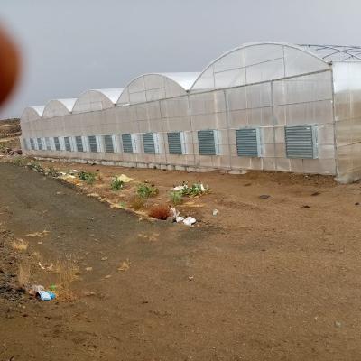 China 8mm 10mm Commercial Polycarbonate Greenhouse With Shading System Irrigation System for sale