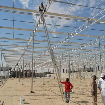 China Venlo Hochleistungs-Polycarbonat-Gewächshaus 8x10 8 X 12 6x8 6x4 12x48m Tomaten mit Anbausystem zu verkaufen