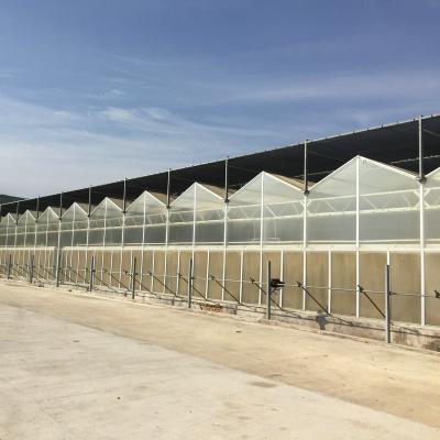 China 5x4 4x6 4x4 4x2 polycarbonaat kas Commercieel met tomaten verbouwing systeem Groot hydroponisch Te koop