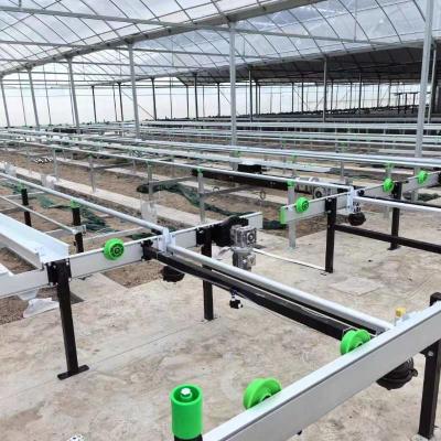 China Sistema de cultivo Tablas rodantes de invernadero Sistema de banco de transporte ajustable Agricultura Banco móvil en venta