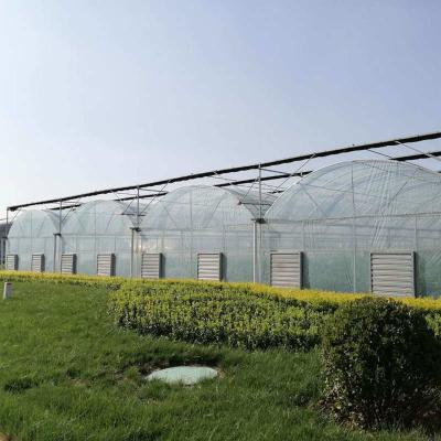 China 8m 9m 10m span multi span tomato hydroponic plastic film greenhouse galvanized steel structure for sale