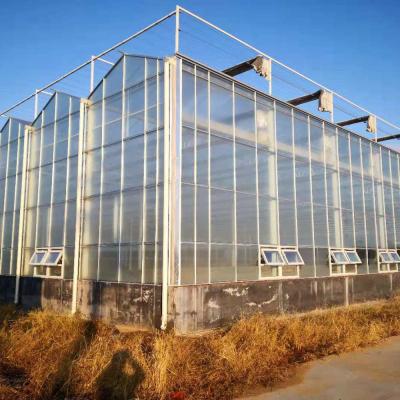 China Landwirtschaftliche Super-Streng-Resistenz Gemüse Obst Blumen Polycarbonatblech Gewächshäuser zu verkaufen