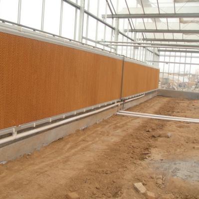 China Moderno venlo tubo de acero galvanizado en caliente estructura de invernadero de policarbonato Multi-Span Sistema de refrigeración de invernadero en venta