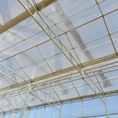 China factory venlo Polycarbonate sheet farming greenhouse Multi-Span Commercial pc sheet Prefab green house overall  thermal system for sale