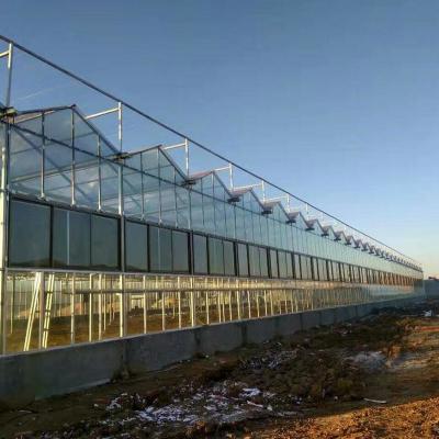 China Gran invernadero de vidrio prefabricado en el patio exterior e interior para el cultivo de flores en venta