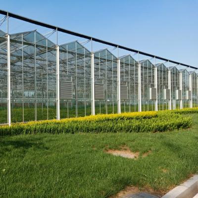 China Wholesale China Supplier Large Multi Span Intelligent Horticulture Commercial Agriculture Glass Flower Greenhouse for sale