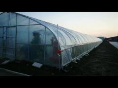 poly tunnel greenhouse