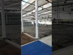 venlo pc sheet greenhouse