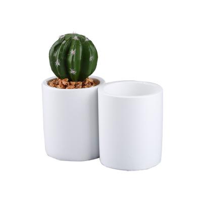 China POLY RESIN/FAUX PLANT Organizer Home Decor Cute Cactus Planter Faux Plant for sale