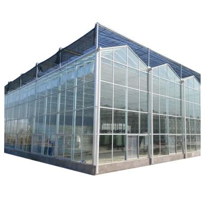 China Agriculture Planting Multi-span Sample Metal Frame Sample Glass Blackout Steel Frame Commercial Greenhouses Frame Structure for sale