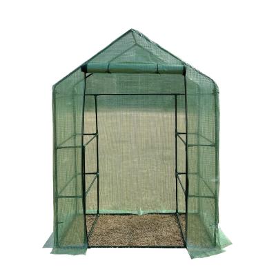 China Easily Assembled MINI Green Home Garden Greenhouses Small Greenhouse Metal Greenhouses for sale