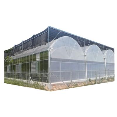 China Agriculture or Garden Smart Multi-span Plastic Sheet Tomato Cucumber Strawberry Lettuce Hydroponics Agricultural Greenhouse for sale