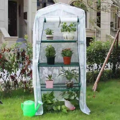 China Easily Assembled Outdoor Portable Garden Greenhouse Mini Walk In PE Cover Stands Small Greenhouse For Flower for sale