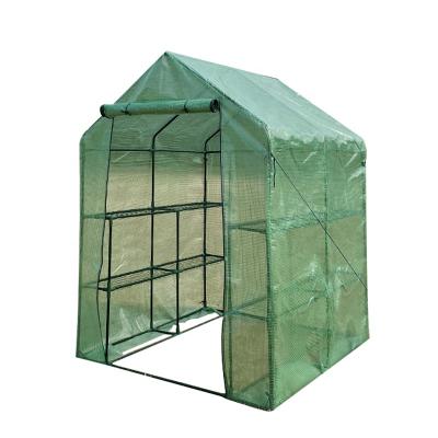 China Green Flower House Cheap Home Portable PE Cover Small Easily Assembled Walk In Green Grow Greenhouse for sale