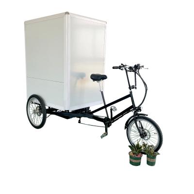 China Heavy Loading Steel 3 Wheels Electric Cargo Bike For Transport Goods for sale