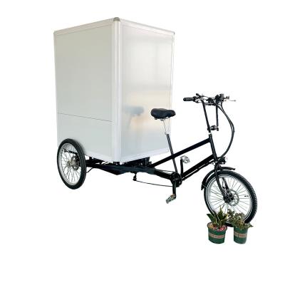 China Hot Selling Electric Tuk Tuk Cargo Tricycle Steel Tricycle Adult Chassis With Cabin for sale