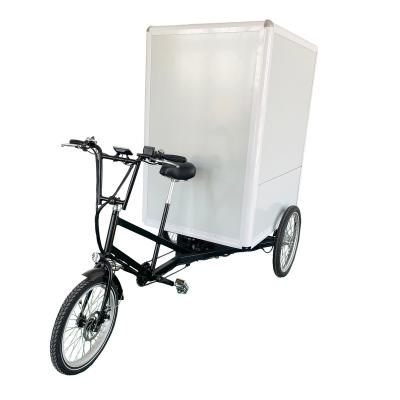 China Express delivery steel bike food pack transporting trike electric tricycle closed cabin delivery bike for sale in Dutch for sale