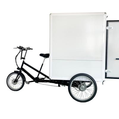 China Big Volume Electric Bike Electric Tricycle Cargo Bike Steel 3 Wheels Heavy Duty Cargo Bicycle for sale