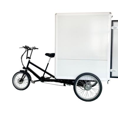 China Steel popular food box cabin box tricycle pedal or electric helper with 500W motor for delivery use for sale