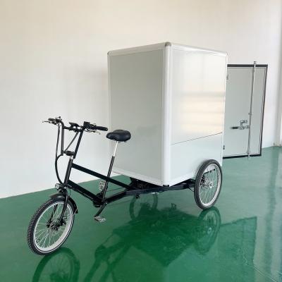 China 3 Wheel Steel Green Energy Delivery Electric Bicycle Huge Space Cargo Tricycle for sale