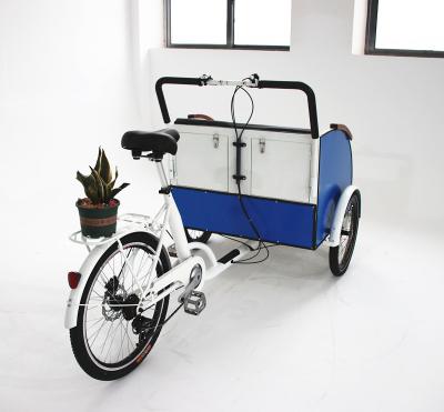 China 3 wheel electric bicycle passenger rickshaw motor tricycle steel tricycle for elder for sale