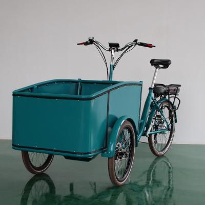 China China steel cargo electric electric bike adult bicycle with cabin box for sale for sale