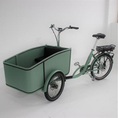 China Steel Delivery 250W Electric Tricycle Pedal Assist Pedal Passenger Electric Cargo Bike For Sale for sale