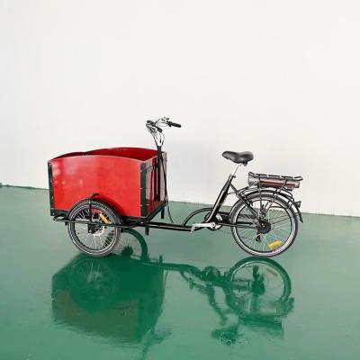 China Hot Sale Steel Three Wheel Cargo Tricycle For Taking Kids Electric Tricycle Family Use for sale