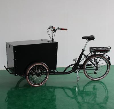 China Steel 3 Wheels Electric Cargo Tricycle For Goods Family Use Transport Bikes For Kids for sale