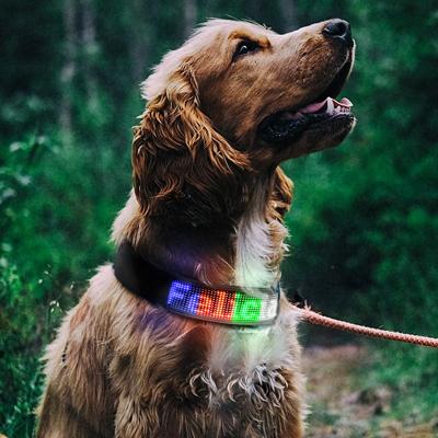 China Lights Waterproof USB Charging Rechargeable LED Flashing Dog Collar Programmable Display APP Luxury Dog Collars for sale