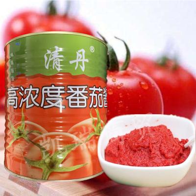 China popular fresh ripe tomatoes product food tomato sauce canned tomato sauce for sale