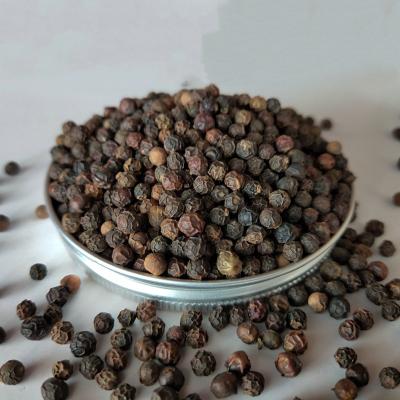 China High Quality Organic Black Pepper Dried Black Pepper Vietnam for sale