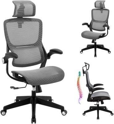 China (Size) Gray Ergonomic Adjustable Mesh High 3D Back Lumbar Support Adjustable Computer Chair With Extended Flip Armrests Home Office Office Chair- for sale