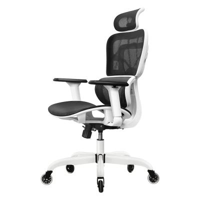 China (Height)Adjustable Ergonomic High Back Mesh Computer Chair with Adjustable Headrest Armrests Lumbar Support and Roller Blade Wheels Recline for sale