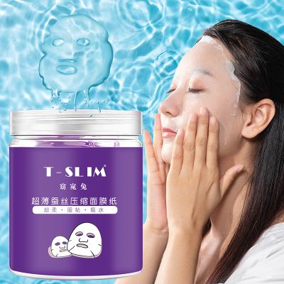 China Moisturizer Disposable Mask Office DIY Paper Home Outdoor Skin Care Compressed Silk Facial Mask Sheet Package for sale