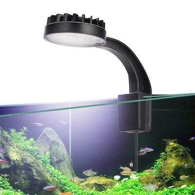 China Full Spectrum 5W Plastic White Blue Freshwater Fish Tank Clip Led Aquarium Light for sale