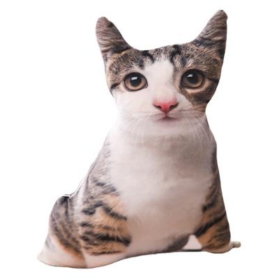 China OEM 2021 Gift Cat Pillow Animal Plush Wholesale Super Soft Realistic Cat Stuffed Toy for sale