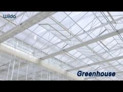 Hydroponic Greenhouse Double Roof Automated Agriculture Tomato