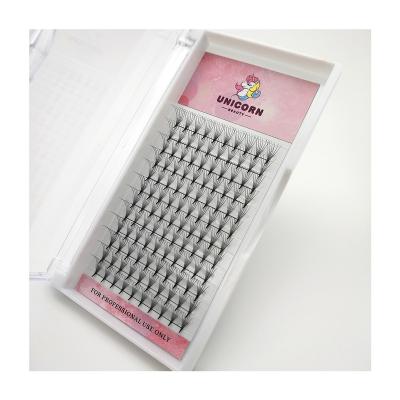 China Fan Shape Factory Supply 6D Eyelash Extension Direct Curly Matte Black Silk 6d 0.07mm D Eyelashes Helix Shaped Eyelashes for sale