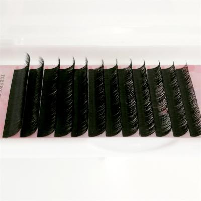 China Wholesale Premium Full Volume Cashmere Lash Extension Matte Dark Black Private Label Silk Eyelash Extensions Lash Trays for sale