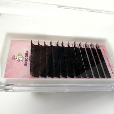 China Full Volume Factory Direct Selling Private Label 0.05 8-25mm Russian Volume Eyelash Extension Matte Black Eyelash Extensions Trays for sale