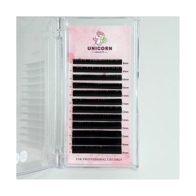 China Professional Full Top PBT Volume Lashes Ultra Soft 0.05mm Volume Blends High Quality Easy 8-25mm Scalloped Lashes For Lengthening for sale