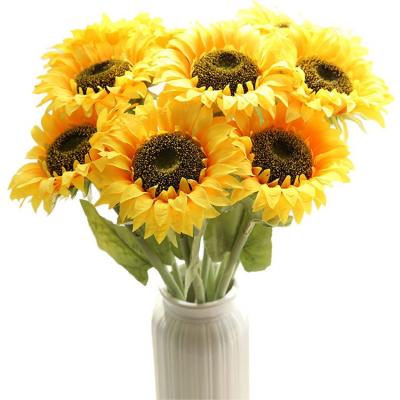 China Fashional Diy Sunflower Plants for sale