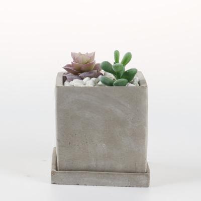 China Stocked Cement Planter Pot Set Square Shape Flower Pots With Saucer For Indoor And Outdoor for sale