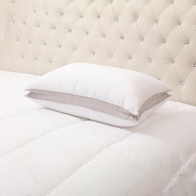 China Anti Dust Mite Double Layer Silence Down-alternative Microfiber Bedding Pillow for sale