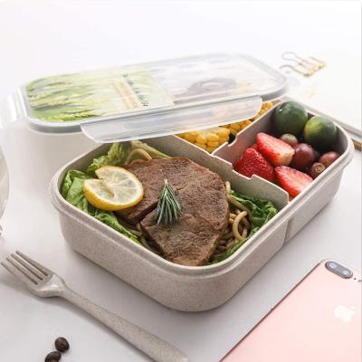 China Wheat Fiber Kids Bento Box Leak Proof Lunch Box Microwavable Hot Lunch Containers With 3 Compartment Lunch Box for sale