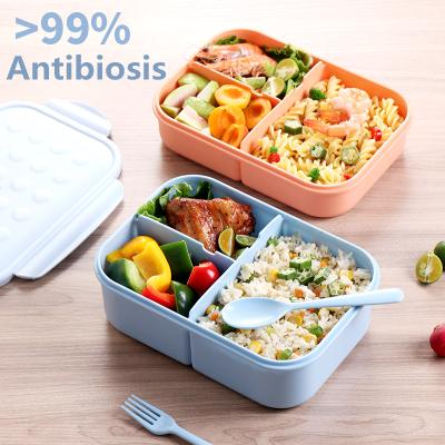 China Freshness Preservation Food Grade PP Material Lunch Box 3 Grid Food Container Can Be Microwaved Bento Box Sterilization for sale