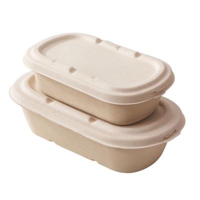 China Custom Heatable Biodegradable Disposable Lunch Box Container Microwavable Food Packing Takeaway Quick Boxes for sale