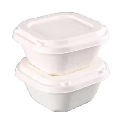 China Bagasse Eco-Friendly Biodegradable Microwavable Compostable Food Packaging Sugar Cane Disposable Food Container Lunch Bento Salad Takeout Box for sale